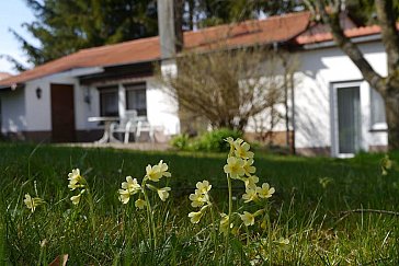 Ferienhaus in Bisingen - Garten