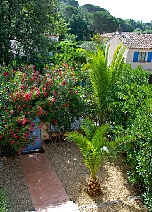 Ferienhaus in Port Grimaud - Palmengarten