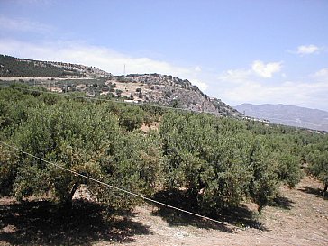 Ferienwohnung in Sciacca - Aussicht