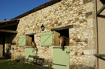 Ferienhaus in Bergerac - Pferde stehen Ihnen für Ausritte zur Verfügung