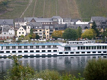 Ferienwohnung in Zell Mosel - Direkter Blick vom Balkon auf Mosel und Weinberge