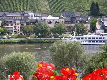 Ferienwohnung in Zell Mosel - Blick vom Wohnzimmer auf die Mosel