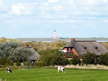 Ferienhaus in St. Peter-Ording - Die Nordsee