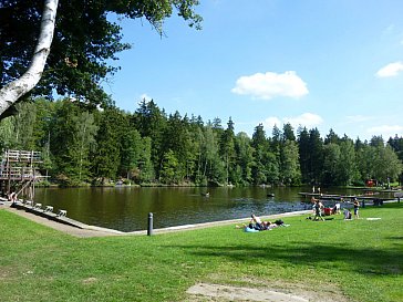 Ferienhaus in Hasselfelde - Waldseebad 500m entfernt