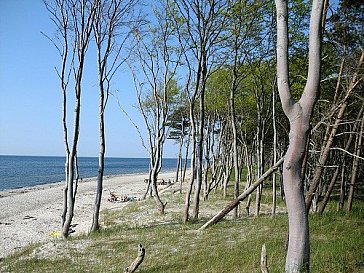 Ferienhaus in Wieck - Weststrand