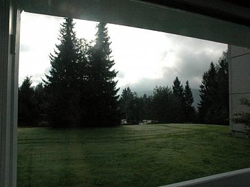 Ferienwohnung in Hahnenklee - Blick aus dem Fenster