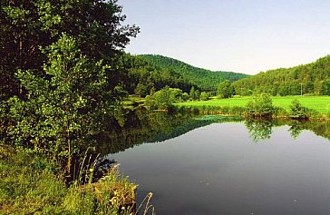 Ferienwohnung in Neunburg vorm Wald - Appartements inmitten des Schwarzachtals