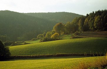 Ferienwohnung in Neunburg vorm Wald - Die Hänge über dem Murnthal