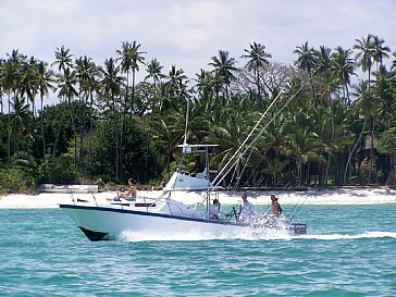 Ferienhaus in Diani Beach - Hochseefischen, Tauchen, Schnorcheln, Surfen usw..