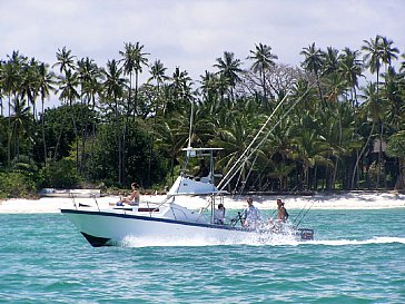 Ferienhaus in Diani Beach - Hochseefischen, Tauchen, Schnorcheln, Surfen usw..