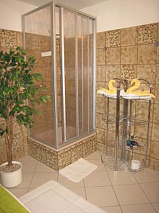 Ferienwohnung in Bad Neuenahr-Ahrweiler - Badezimmer mit Dusche