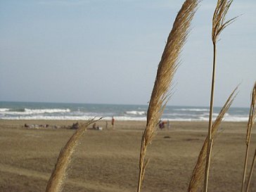 Ferienhaus in Gruissan-Les Ayguades - Strand