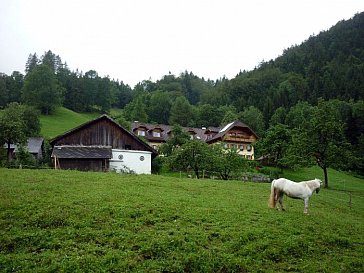 Ferienwohnung in Scharnstein - Unser Bauernhof im Almtal