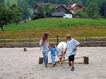 Ferienwohnung in Scharnstein - Unsere Ponys