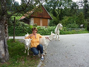 Ferienwohnung in Moosburg - Bild11