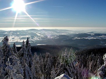 Ferienwohnung in Neureichenau - Blick Dreisessel