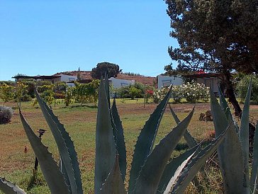 Ferienhaus in Mastichari - Die Anlage mit Häusern