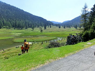 Ferienwohnung in Hermagor - Almwanderung