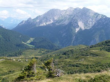 Ferienwohnung in Hermagor - Almwanderung