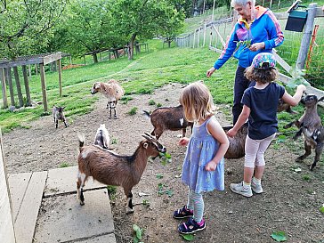 Ferienwohnung in Koglhof - Kindererlebnis-Bauernhof