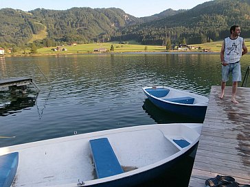 Ferienwohnung in Dellach - Privates Seebad in Techendorf am Weissensee