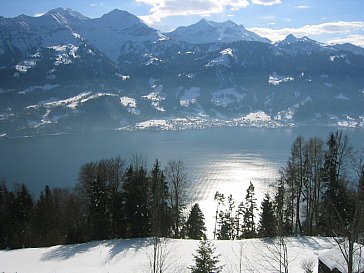 Ferienwohnung in Beatenberg - Aussicht im Winter