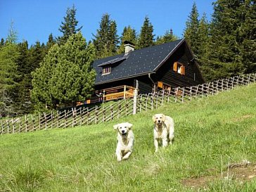 Ferienhaus in Bad St. Leonhard - Primushütte