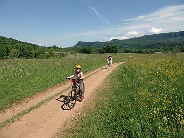 Ferienwohnung in Keutschach am See - Radweg