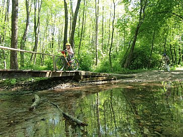 Ferienwohnung in Keutschach am See - Radausflug in der Natur