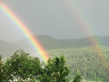 Ferienwohnung in Keutschach am See - Stimmung