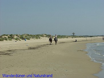 Ferienhaus in Guardamar del Segura - Dünenstrand