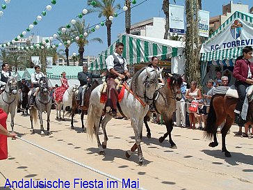 Ferienhaus in Guardamar del Segura - Maifest