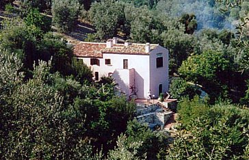 Ferienhaus in Vicolo del Gargano - Bild4
