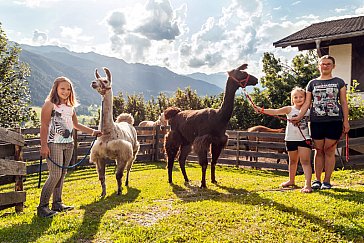 Ferienwohnung in Ratschings - Streichelzoo