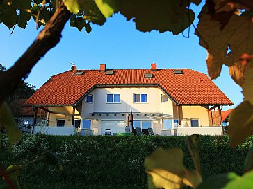 Ferienhaus in Hohenbrugg an der Raab - Blick vom Weingarten zum Ferienhaus