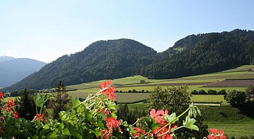 Ferienwohnung in Oberrasen - Bild10