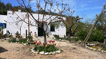 Ferienhaus in Otranto - Bild2