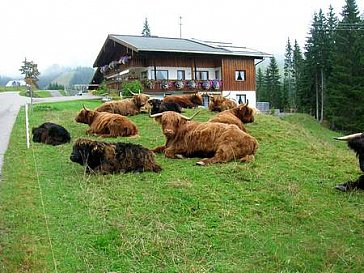 Ferienwohnung in Riezlern - Schottische Higlands