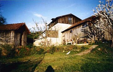 Ferienhaus in Mangualde - Bild1