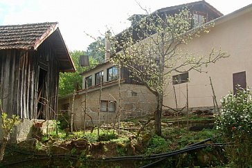 Ferienhaus in Mangualde - Bild10