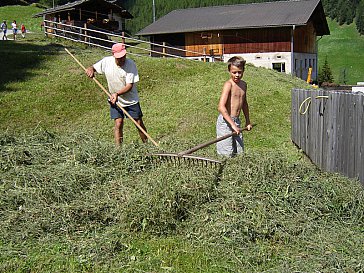 Ferienwohnung in Ahrntal - Heuarbeit