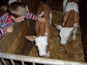 Ferienwohnung in Ahrntal - Tiere streicheln erlaubt