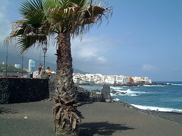 Ferienwohnung in Puerto de la Cruz - Playa Jardin