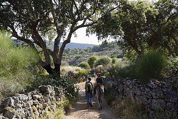 Ferienwohnung in Valencia de Alcántara - Ausgeschilderte Wanderwege vor der Haustüre