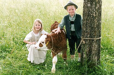 Ferienwohnung in Abtenau - Junge Generation mit Kalb