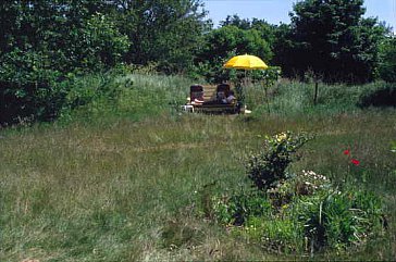 Ferienhaus in Hünning-Sollerup - Der Natur-Garten