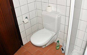 Ferienwohnung in Brusimpiano - Das Badezimmer