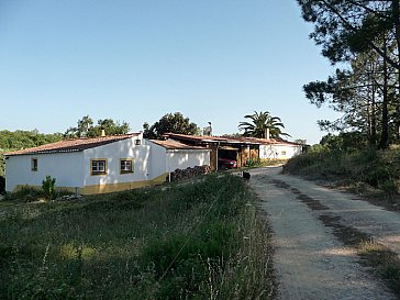 Ferienhaus in Aljezur - Bild10