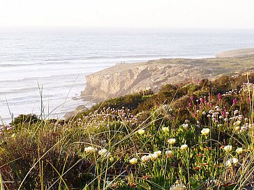 Ferienhaus in Aljezur - Bild14