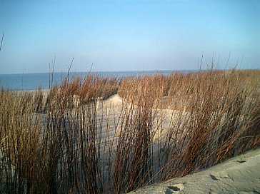 Ferienhaus in Bruinisse - Strand